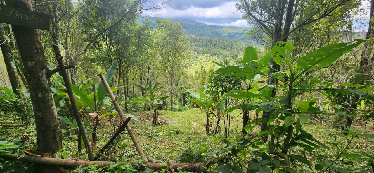 Buleleng,Bali,Indonesia,Land,MLS ID 2522
