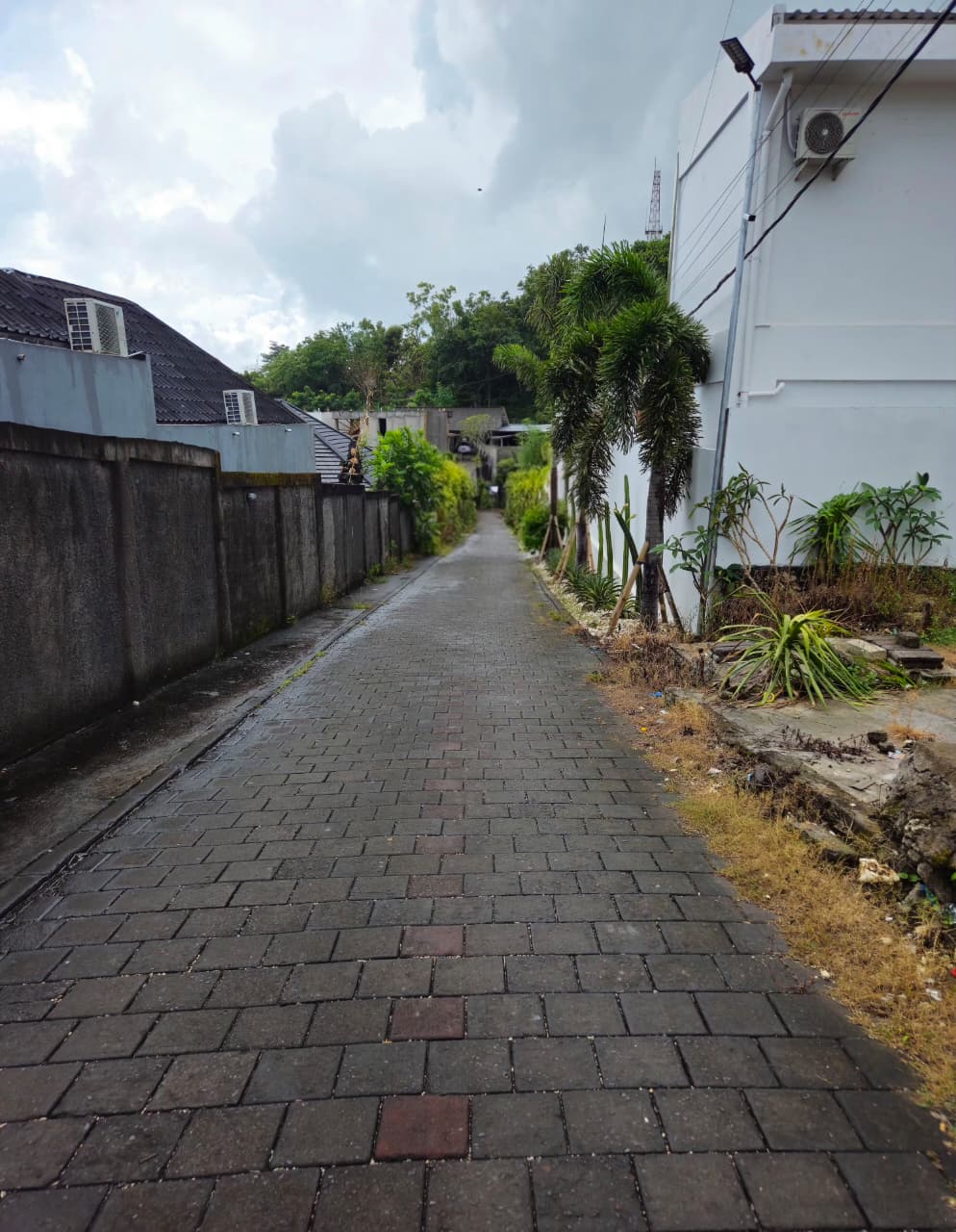 Pecatu,Bali,Indonesia,Land,MLS ID 2530