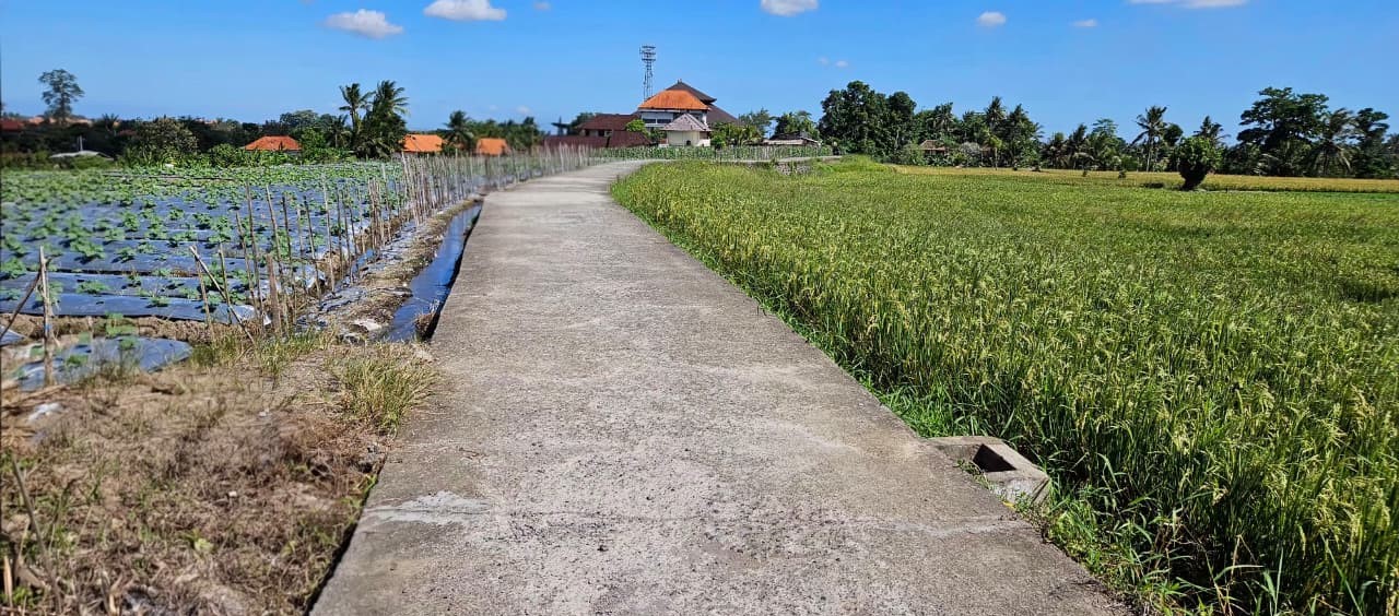 Mengwi,Bali,Indonesia,Land,MLS ID 2535