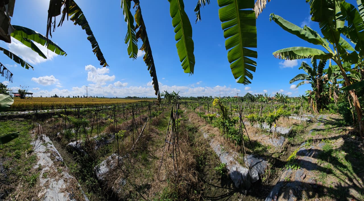 Mengwi,Bali,Indonesia,Land,MLS ID 2535