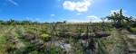 Mengwi,Bali,Indonesia,Land,MLS ID 2535