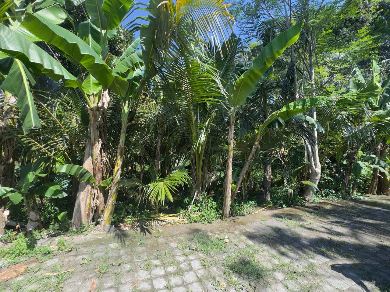 Gianyar,Bali,Indonesia,Land,MLS ID 2551
