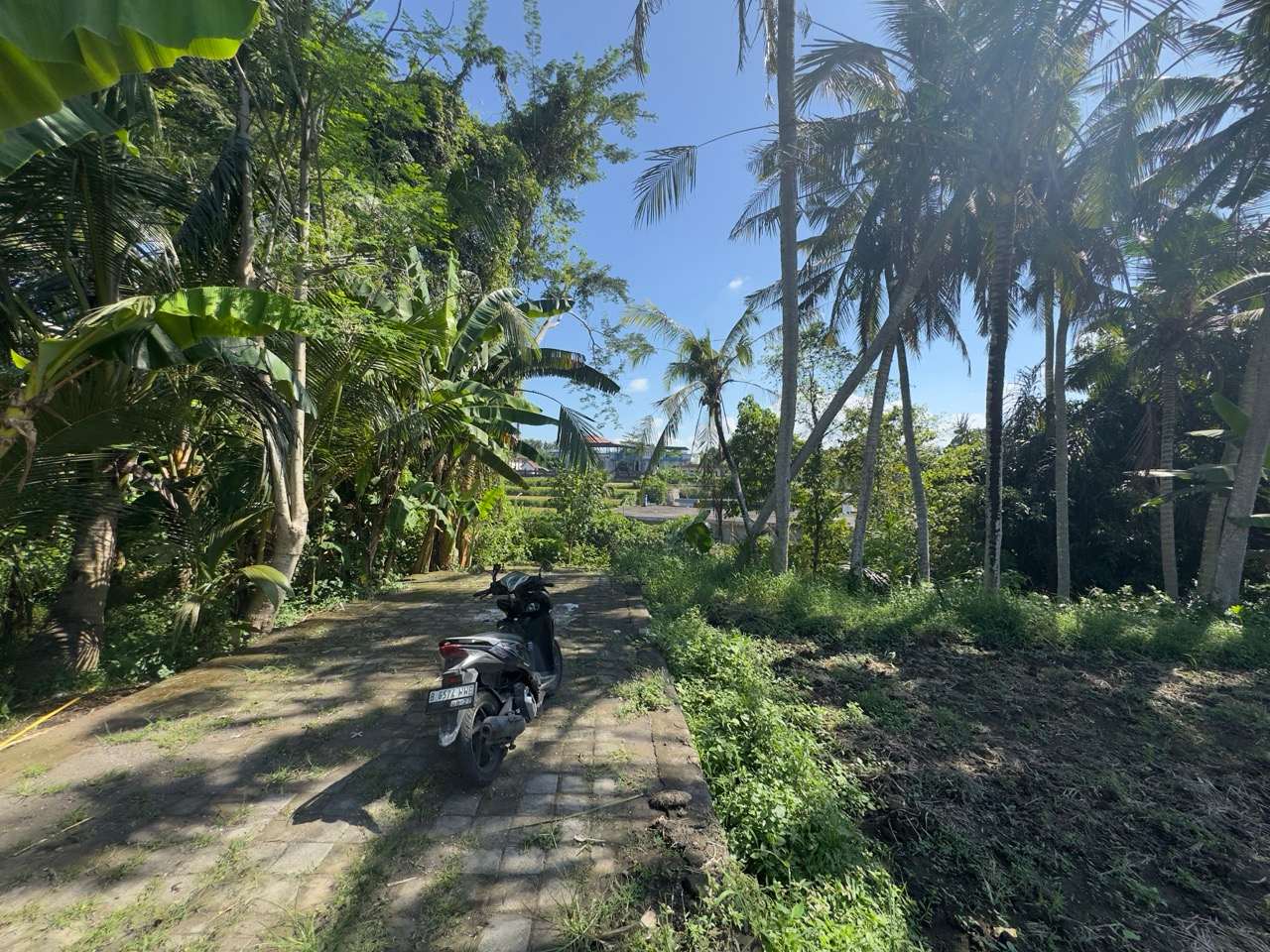 Gianyar,Bali,Indonesia,Land,MLS ID 2551