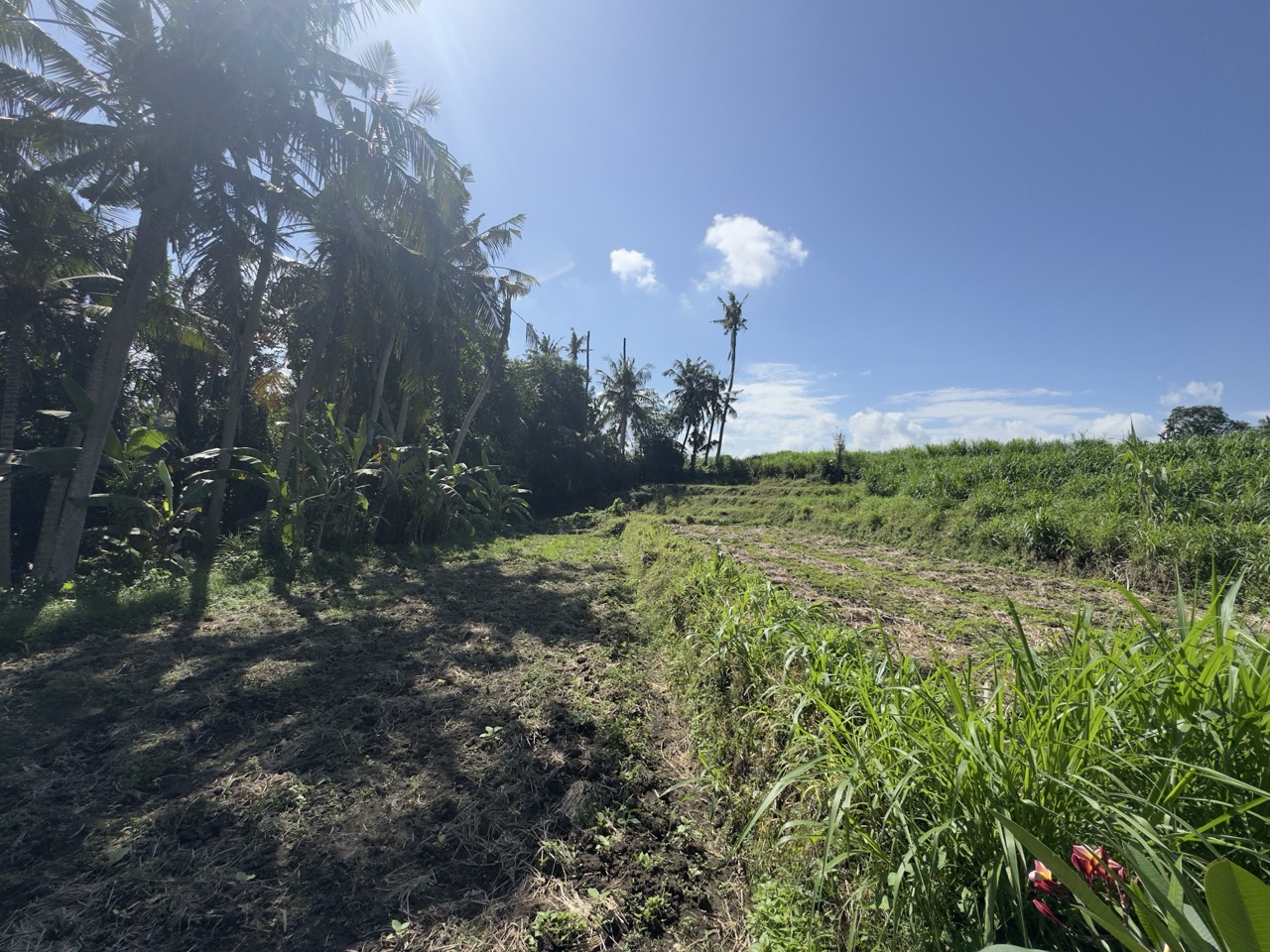 Gianyar,Bali,Indonesia,Land,MLS ID 2551