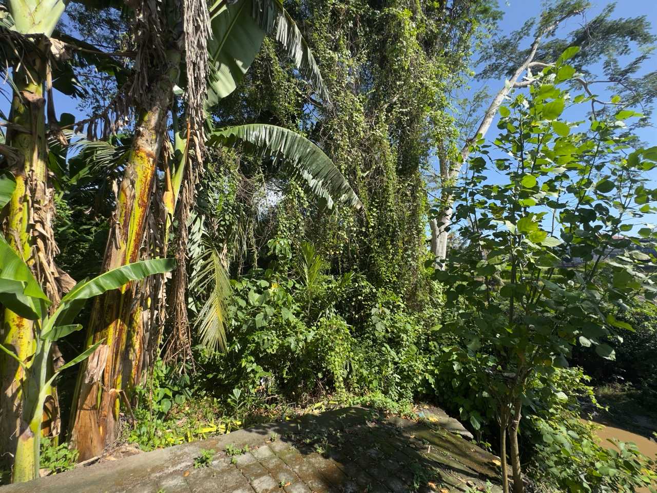 Gianyar,Bali,Indonesia,Land,MLS ID 2551