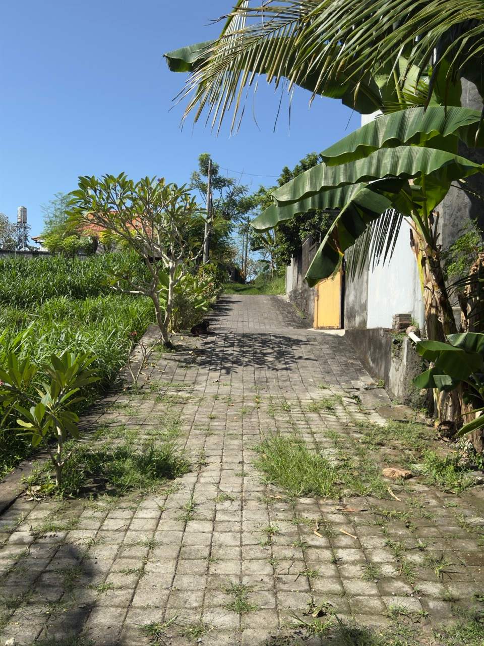 Gianyar,Bali,Indonesia,Land,MLS ID 2551