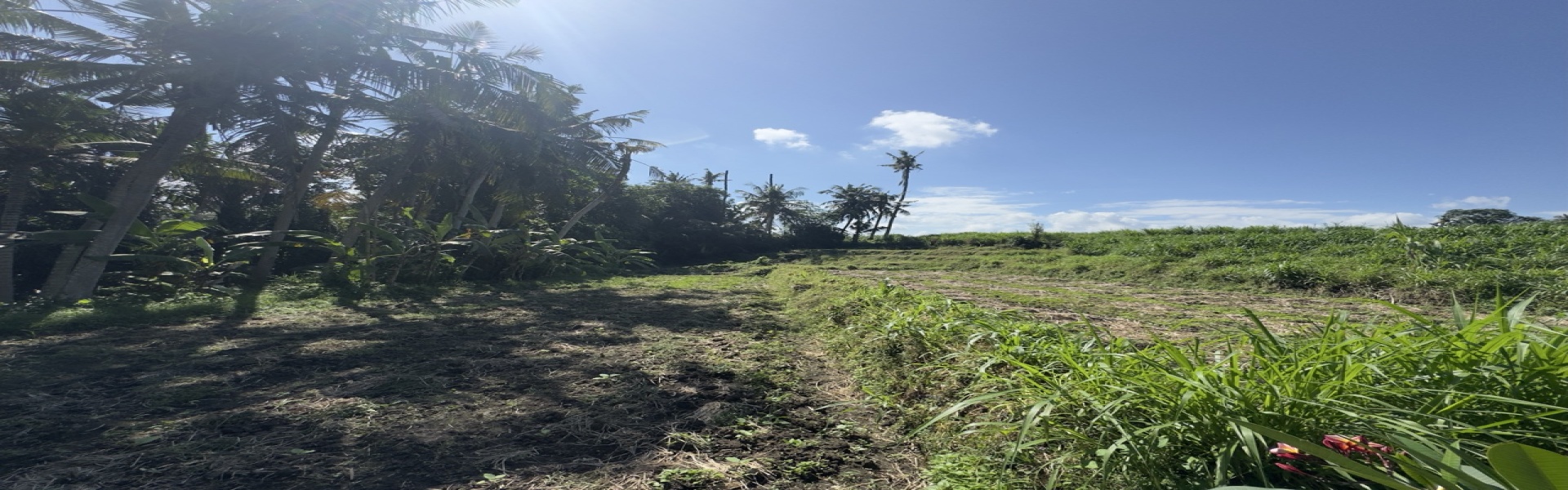 Gianyar,Bali,Indonesia,Land,MLS ID 2551