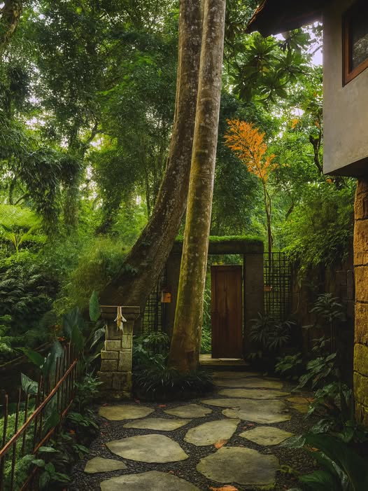 Ubud,Bali,Indonesia,2 Bedrooms,2 Bathrooms,Villa,MLS ID 2562