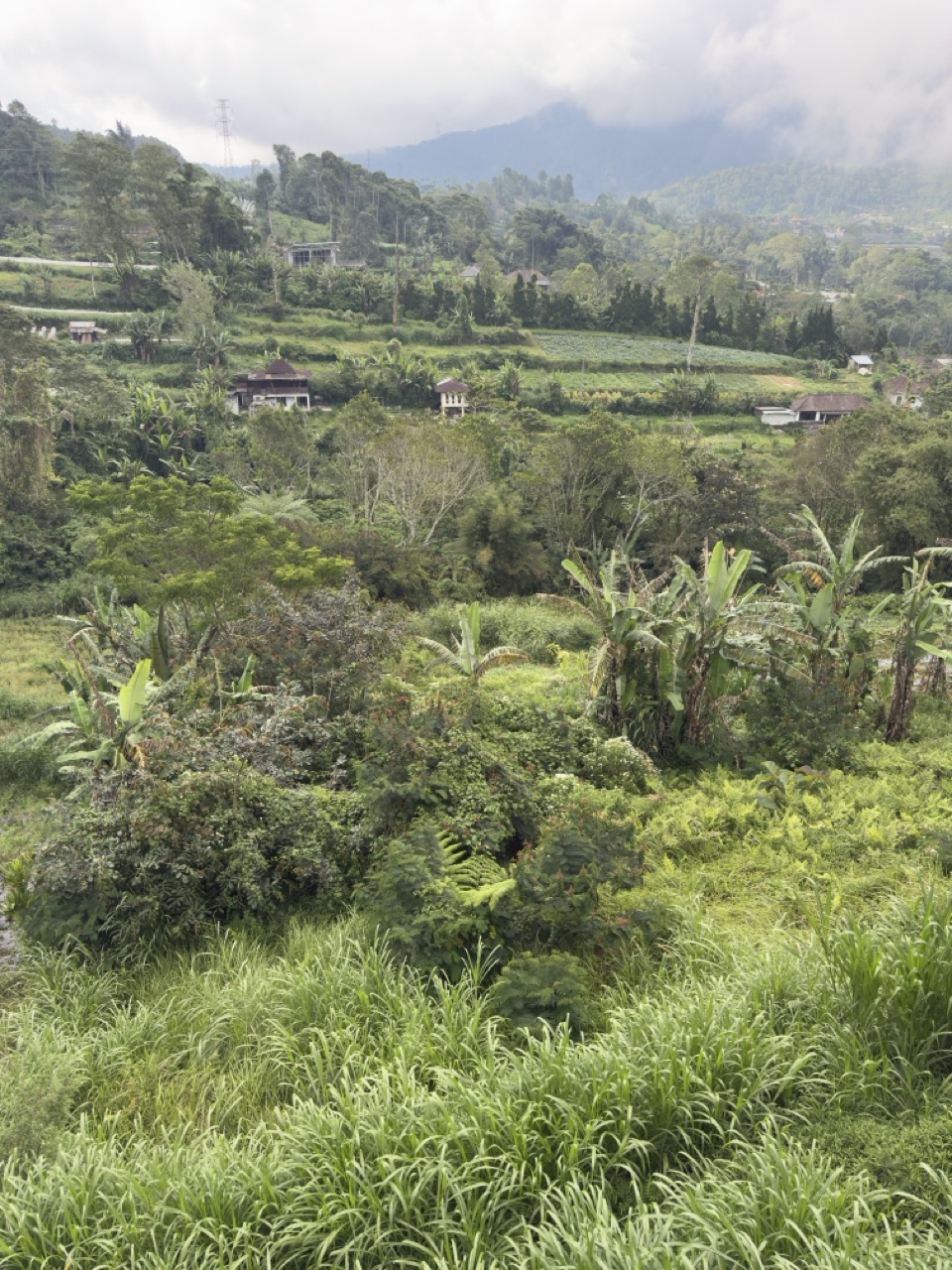 Tabanan,Bali,Indonesia,Land,MLS ID 2563