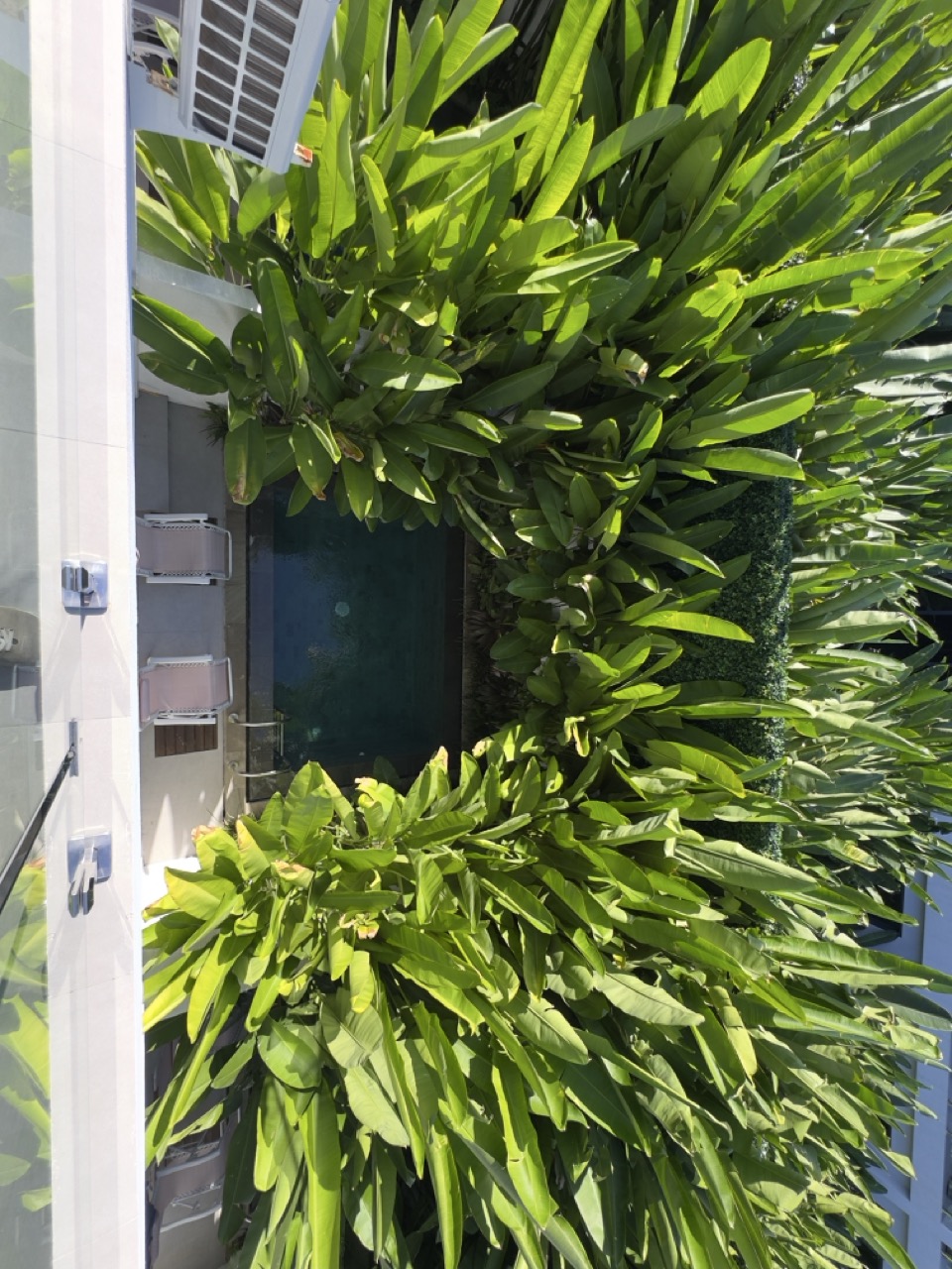 Ungasan,Bali,Indonesia,2 Bedrooms,2 Bathrooms,Villa,MLS ID 2608