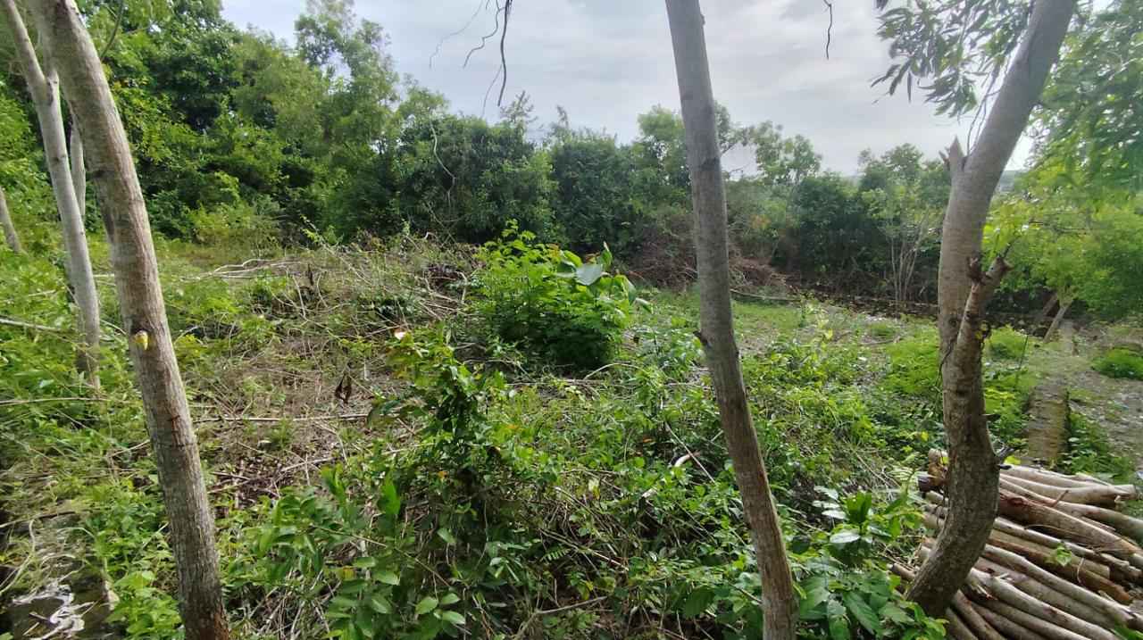 Ungasan,Bali,Indonesia,Land,MLS ID 2621