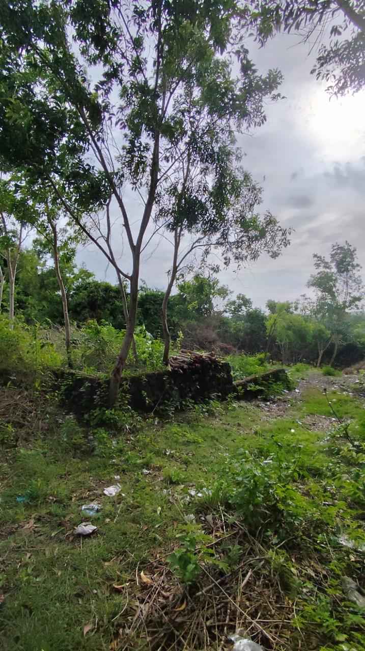 Ungasan,Bali,Indonesia,Land,MLS ID 2621