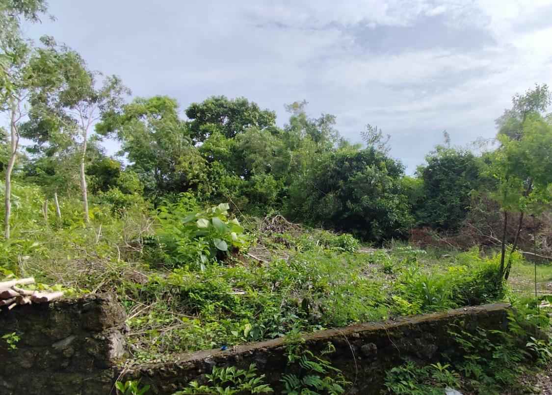 Ungasan,Bali,Indonesia,Land,MLS ID 2621