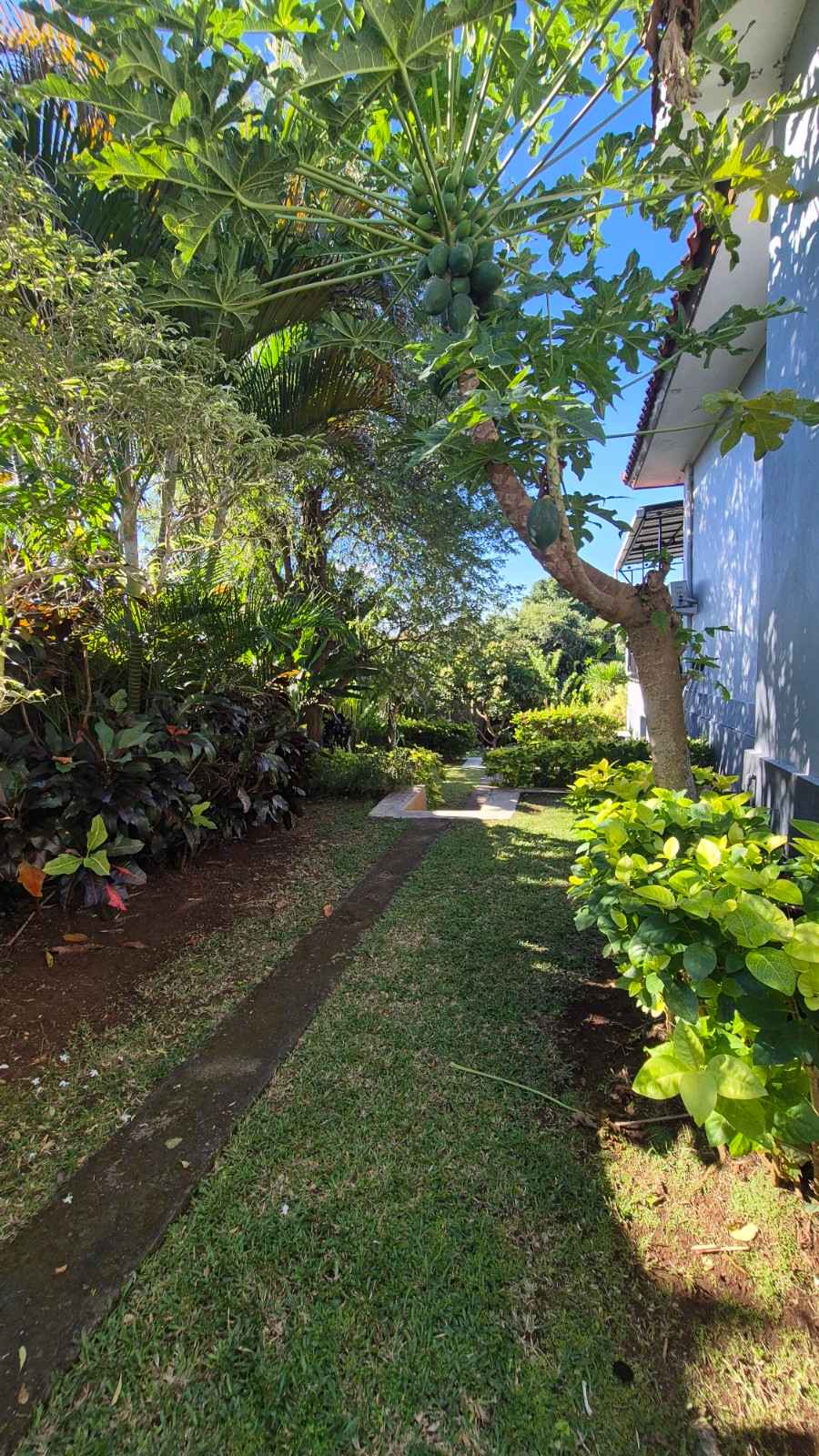 Jimbaran,Bali,Indonesia,5 Bedrooms,5 Bathrooms,Villa,MLS ID 2623