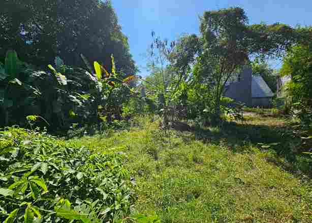 Sanur,Bali,Indonesia,Land,MLS ID 2643