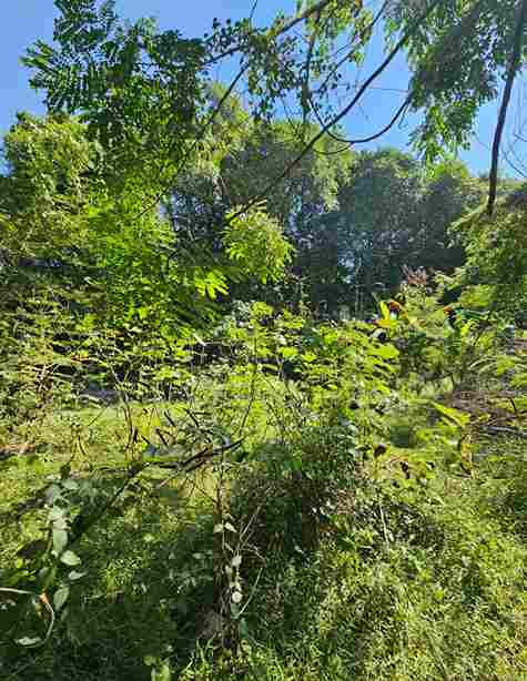 Sanur,Bali,Indonesia,Land,MLS ID 2643