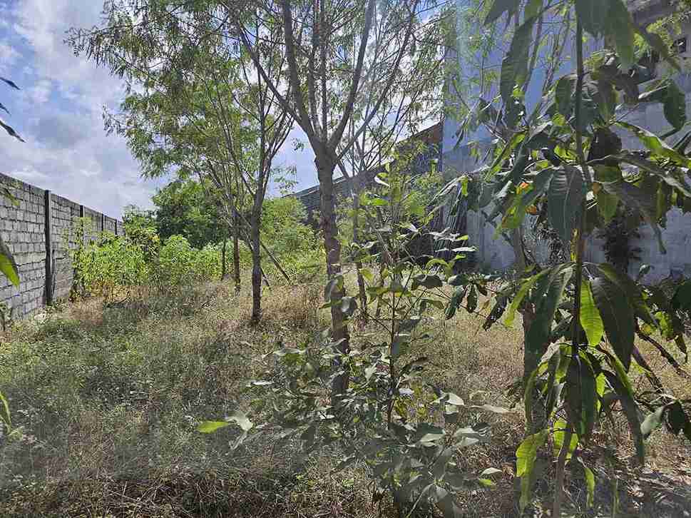 Denpasar,Bali,Indonesia,Land,MLS ID 2661