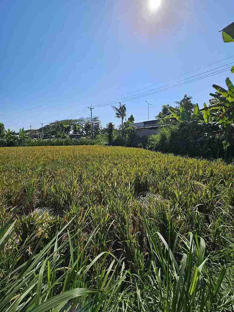 Klungkung,Bali,Indonesia,Land,MLS ID 2668