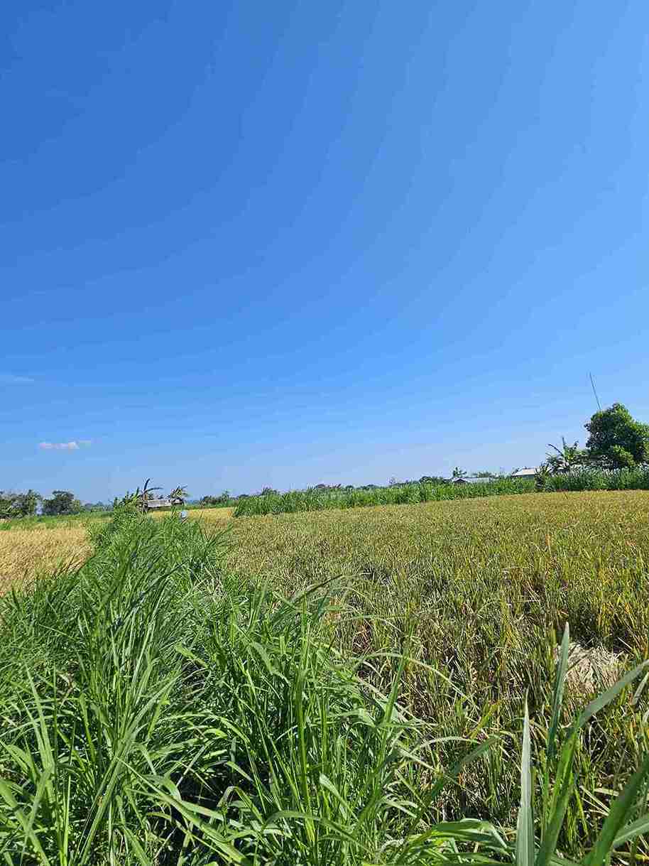 Klungkung,Bali,Indonesia,Land,MLS ID 2668