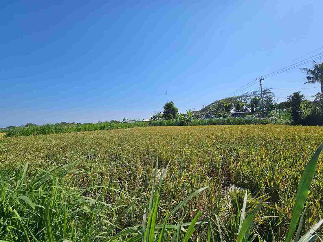 Klungkung,Bali,Indonesia,Land,MLS ID 2668