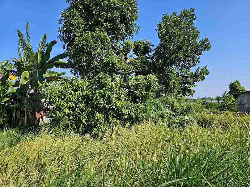 Klungkung,Bali,Indonesia,Land,MLS ID 2668