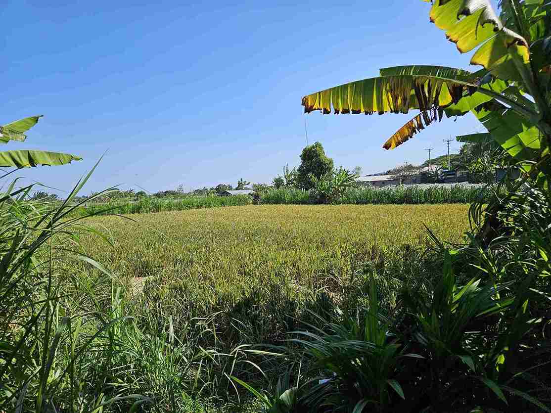 Klungkung,Bali,Indonesia,Land,MLS ID 2668