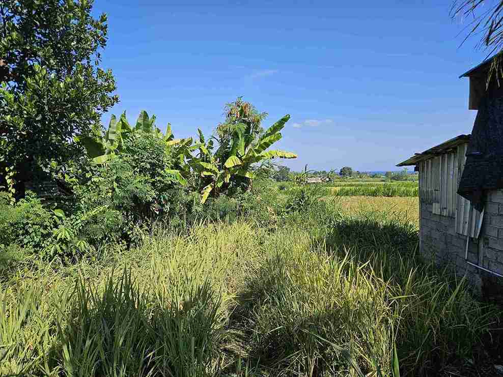 Klungkung,Bali,Indonesia,Land,MLS ID 2668