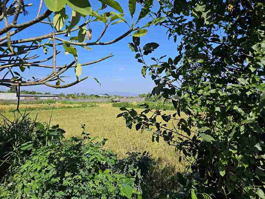 Klungkung,Bali,Indonesia,Land,MLS ID 2668
