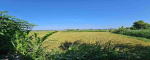 Klungkung,Bali,Indonesia,Land,MLS ID 2668