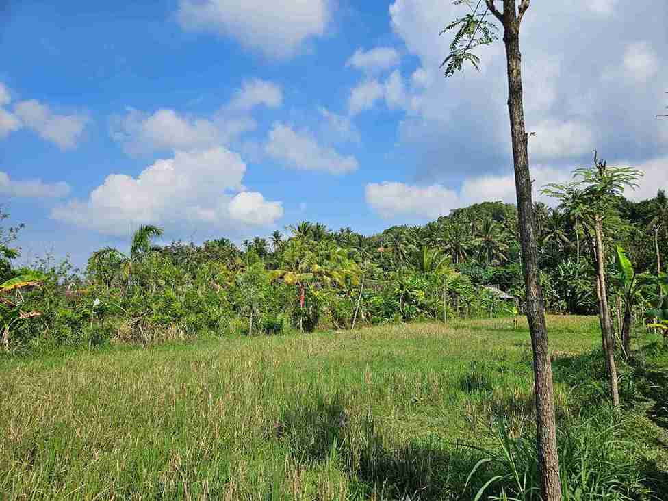 Karangasem,Bali,Indonesia,Land,MLS ID 2673
