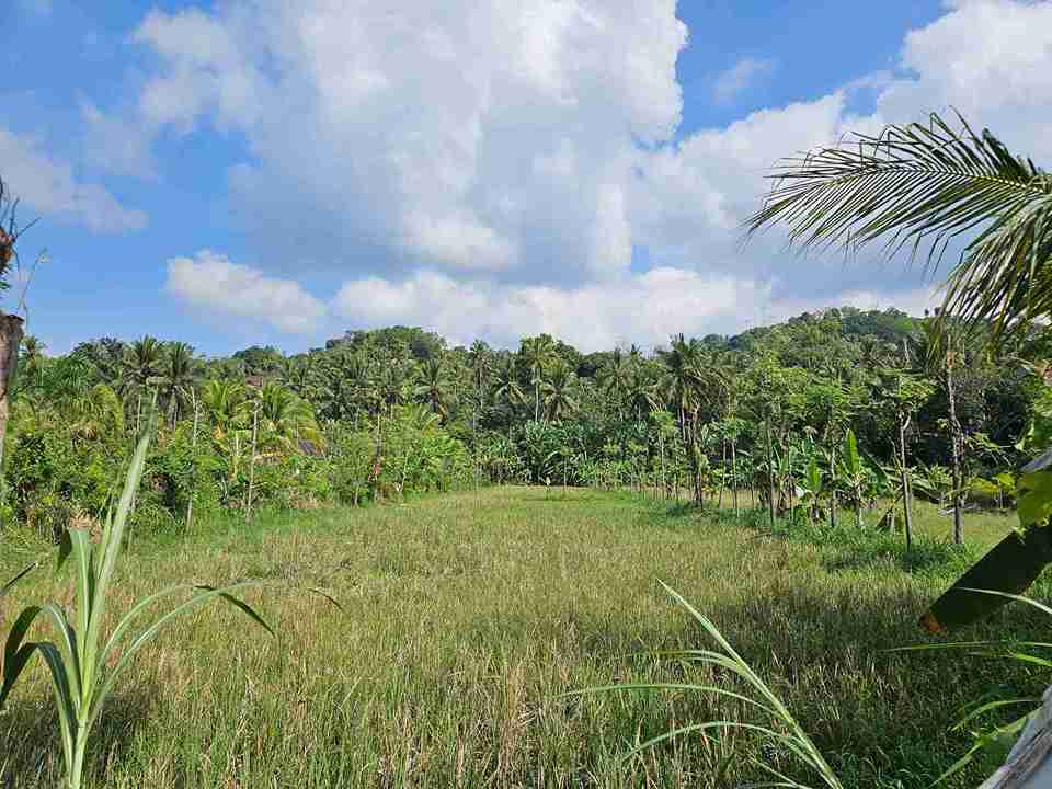 Karangasem,Bali,Indonesia,Land,MLS ID 2673