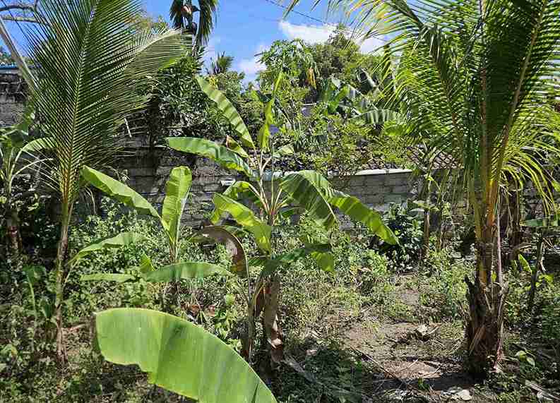Karangasem,Bali,Indonesia,Land,MLS ID 2674
