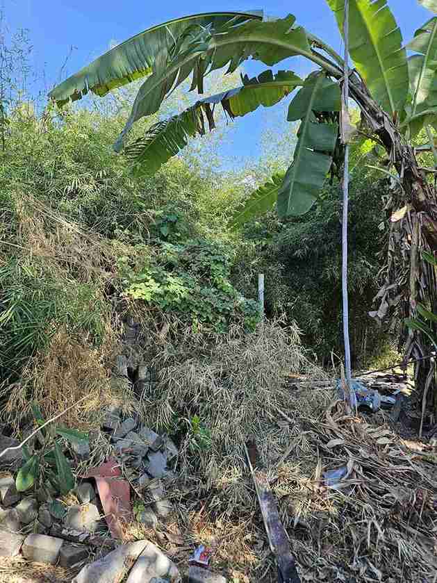 Denpasar,Bali,Indonesia,Land,MLS ID 2716