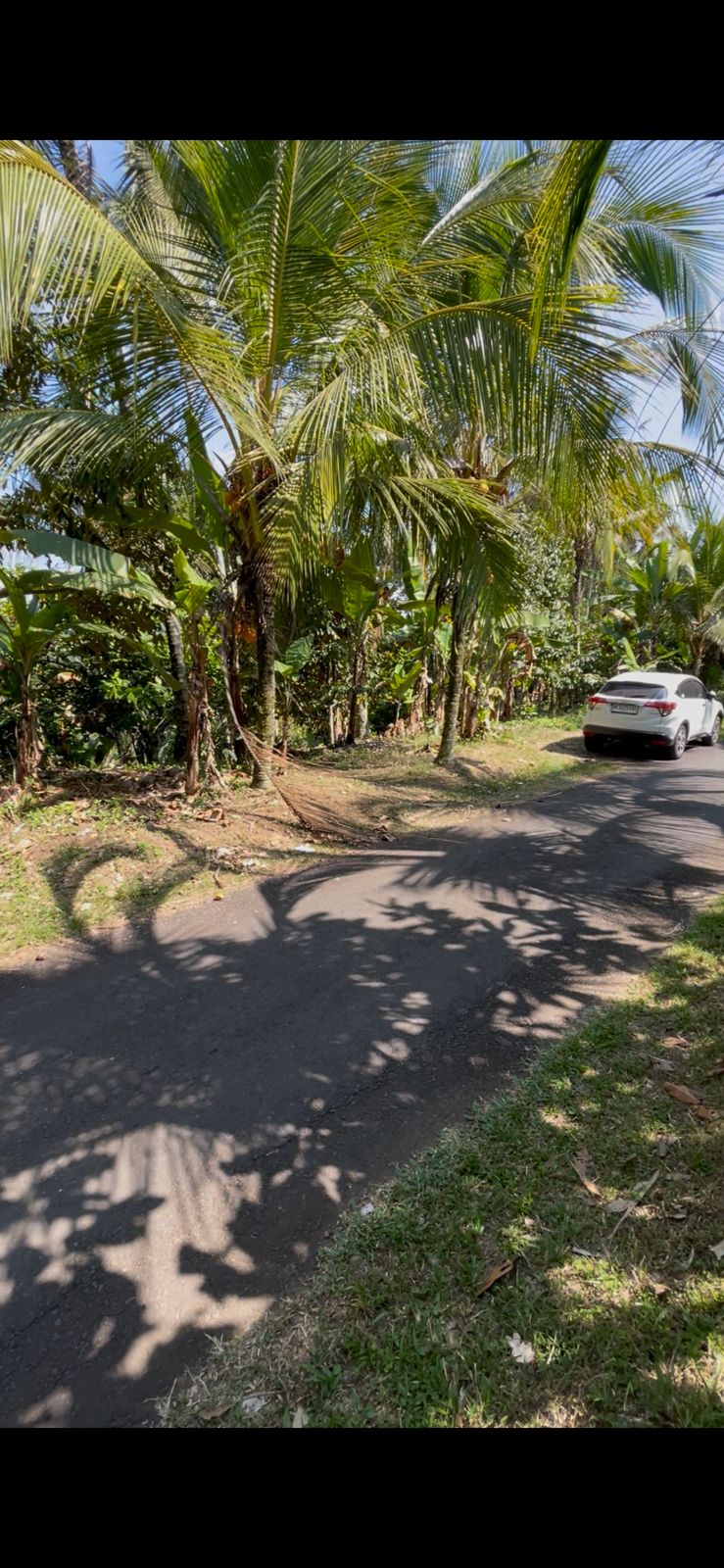 Tabanan,Bali,Indonesia,Land,MLS ID 2726