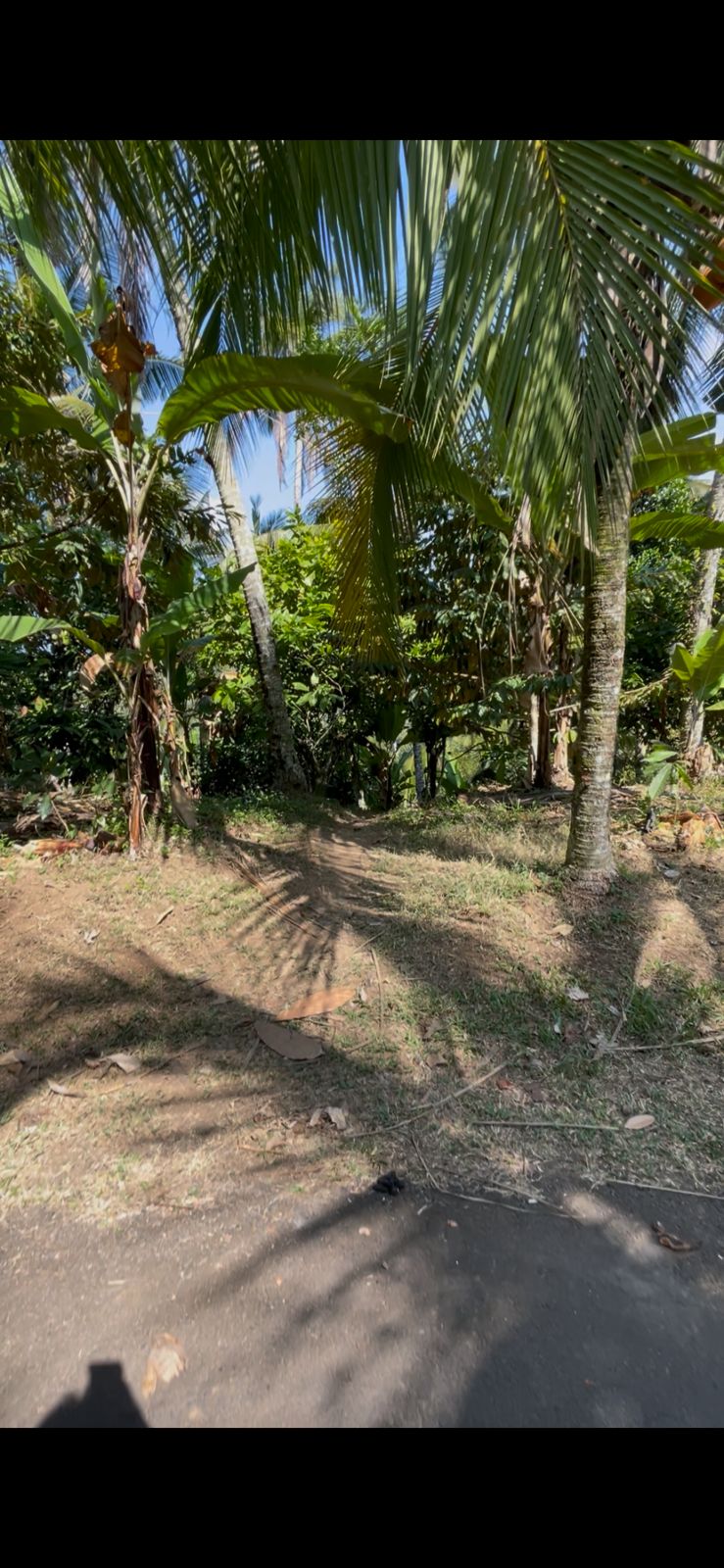 Tabanan,Bali,Indonesia,Land,MLS ID 2726