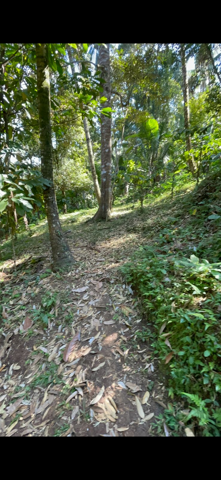 Tabanan,Bali,Indonesia,Land,MLS ID 2726