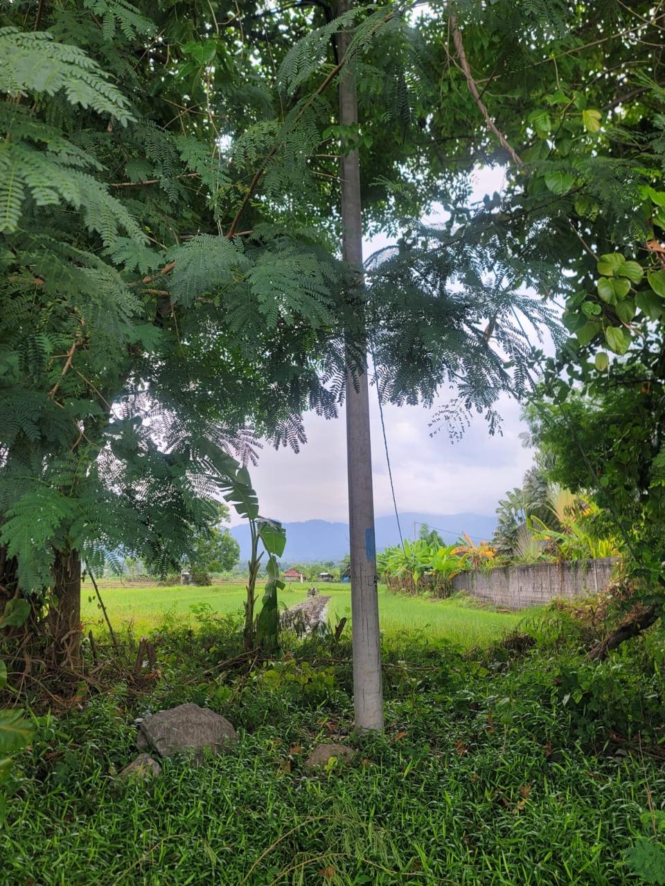 Buleleng,Bali,Indonesia,Land,MLS ID 2739