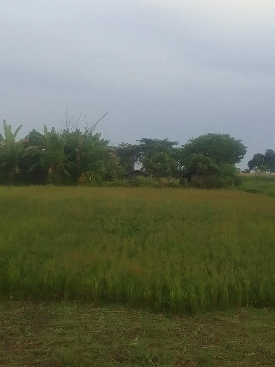 Buleleng,Bali,Indonesia,Land,MLS ID 2739