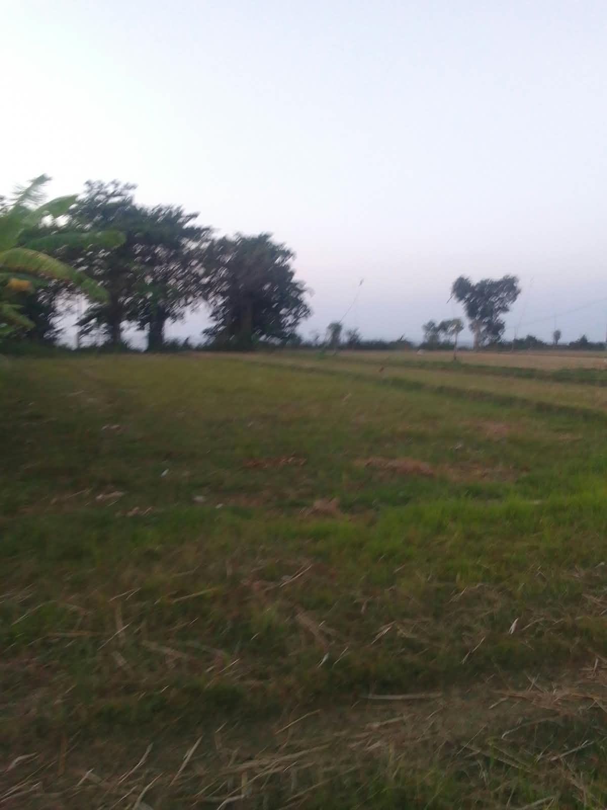 Buleleng,Bali,Indonesia,Land,MLS ID 2739