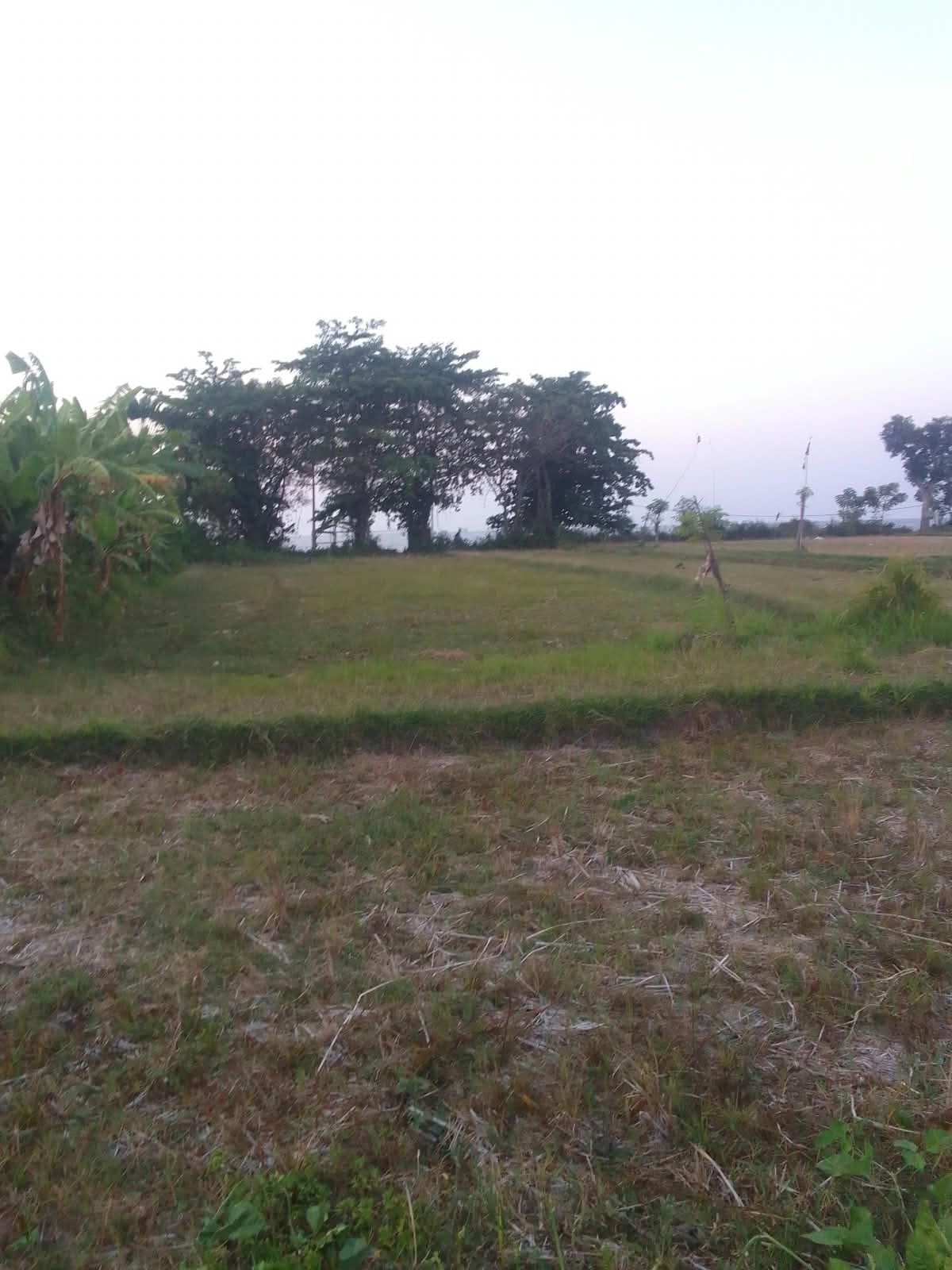 Buleleng,Bali,Indonesia,Land,MLS ID 2739