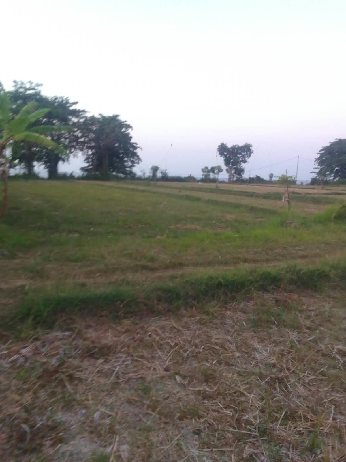 Buleleng,Bali,Indonesia,Land,MLS ID 2739