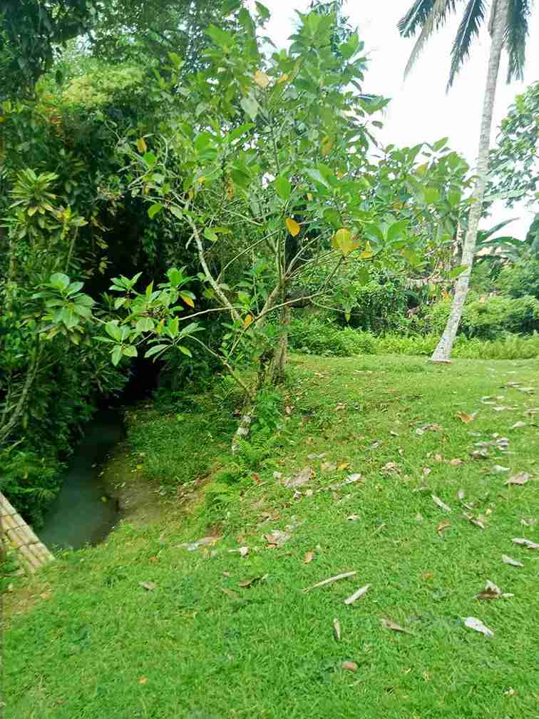 Tabanan,Bali,Indonesia,Land,MLS ID 2749