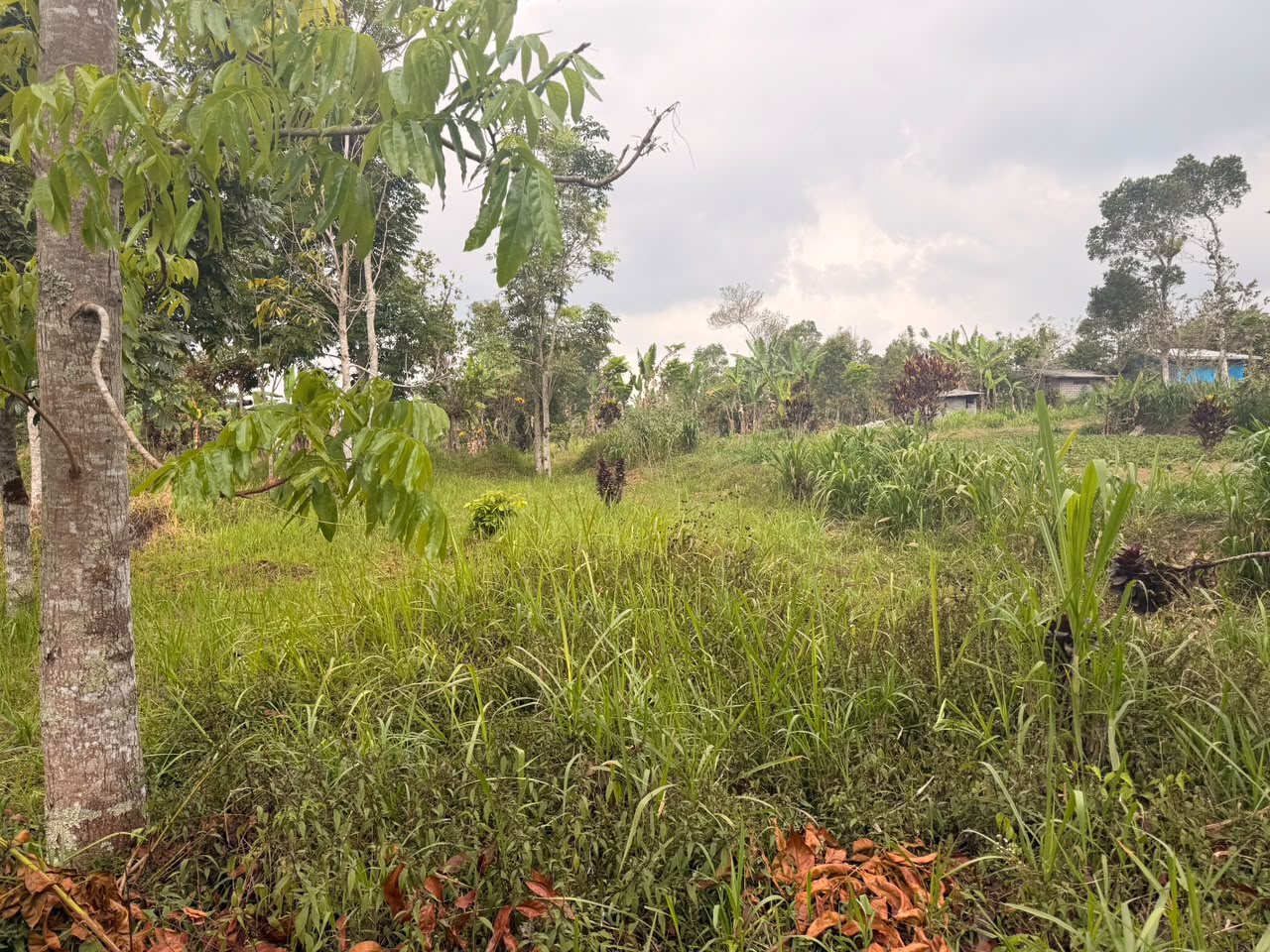 Bali,Indonesia,Land,MLS ID 2759