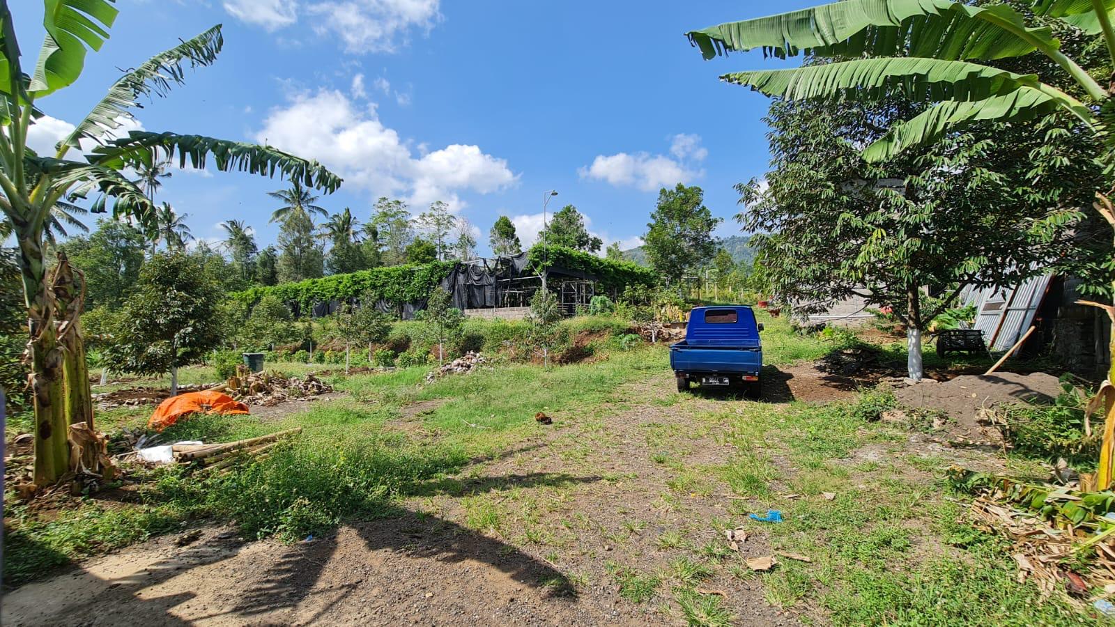 Buleleng,Bali,Indonesia,Land,MLS ID 2769