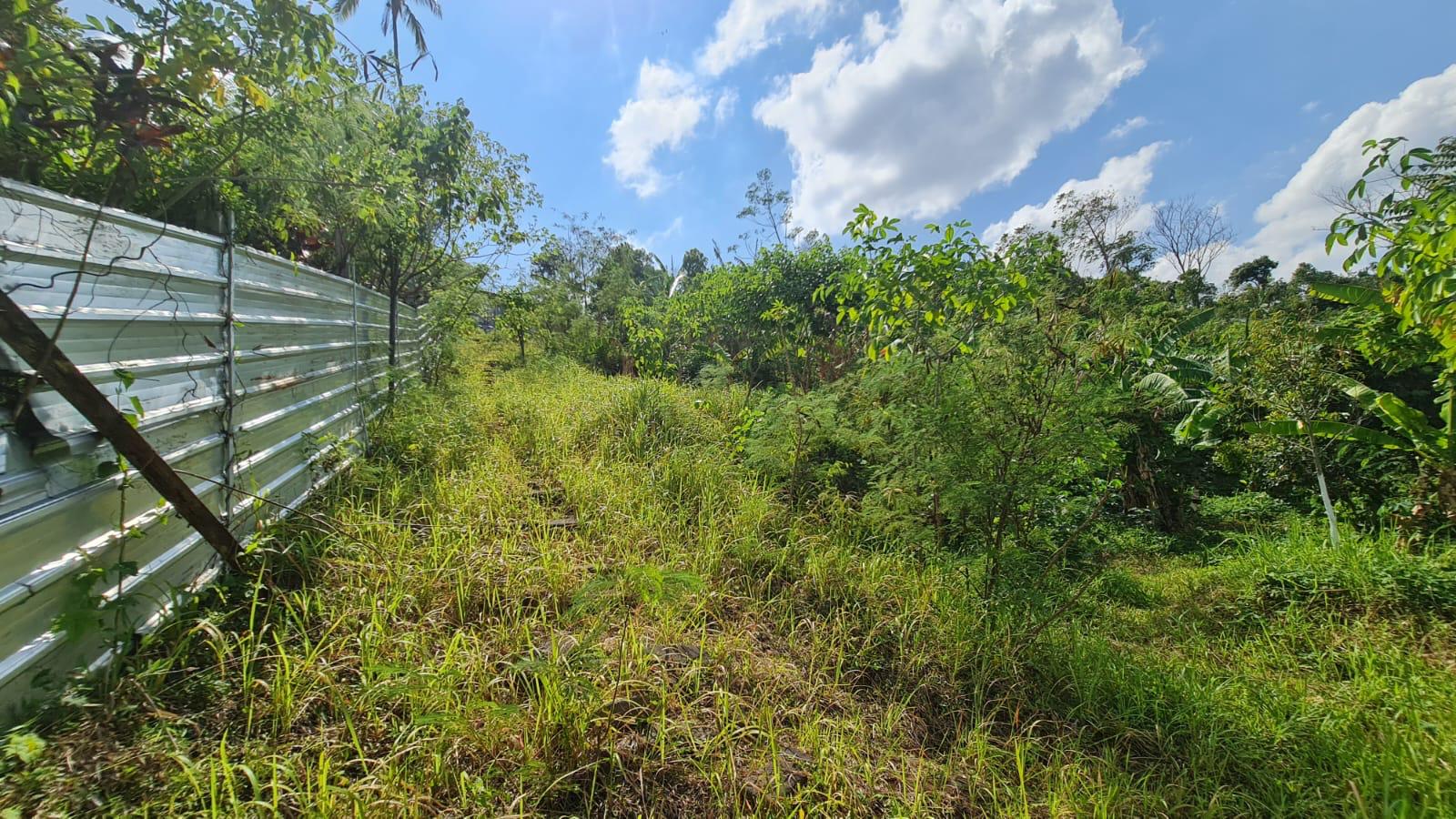 Buleleng,Bali,Indonesia,Land,MLS ID 2769