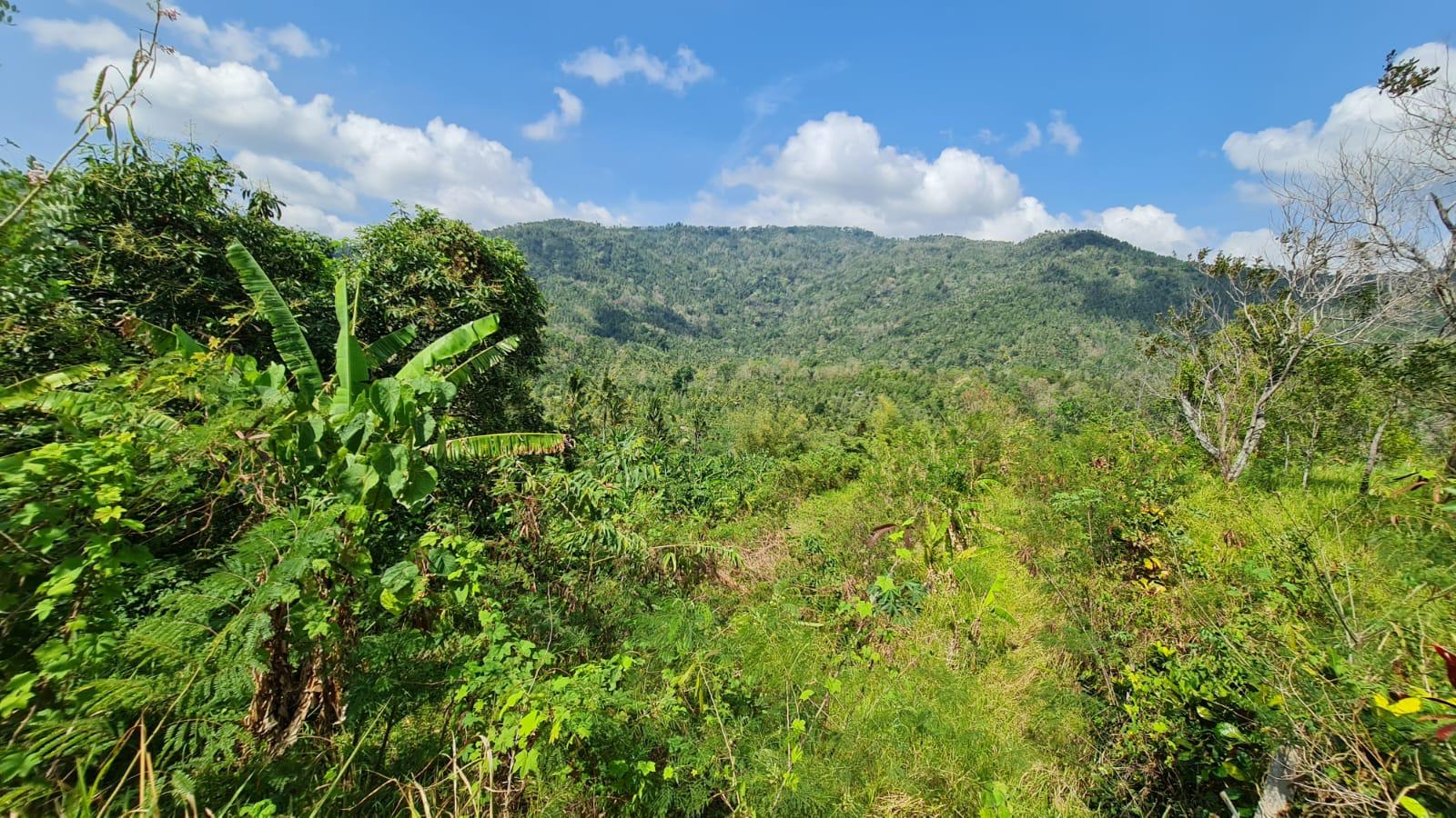 Buleleng,Bali,Indonesia,Land,MLS ID 2769