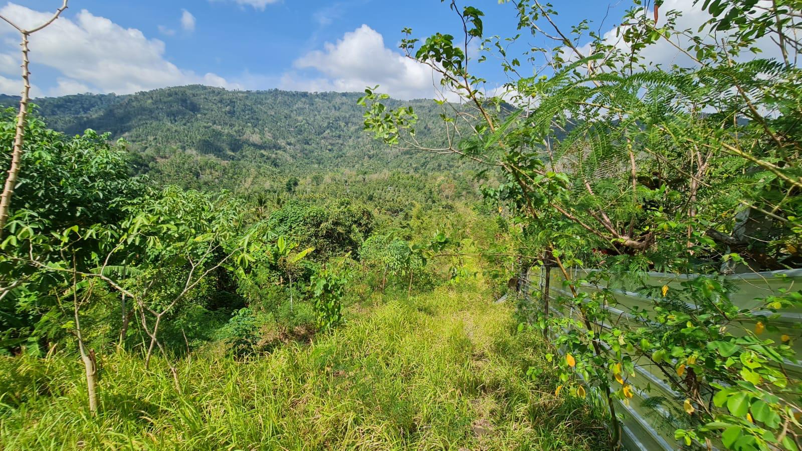 Buleleng,Bali,Indonesia,Land,MLS ID 2769