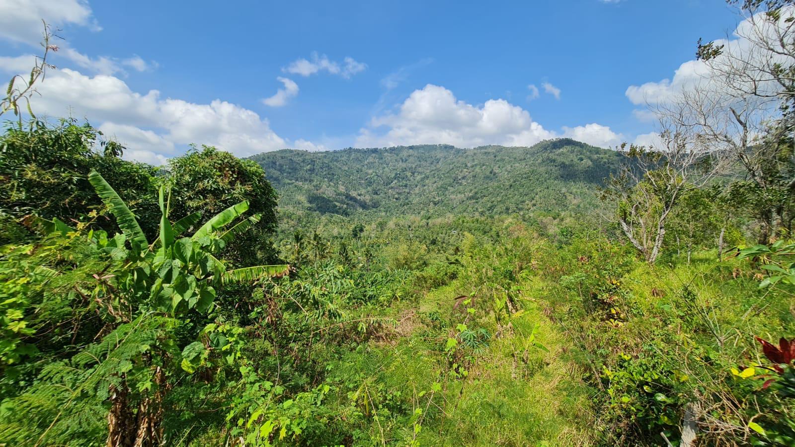 Buleleng,Bali,Indonesia,Land,MLS ID 2769