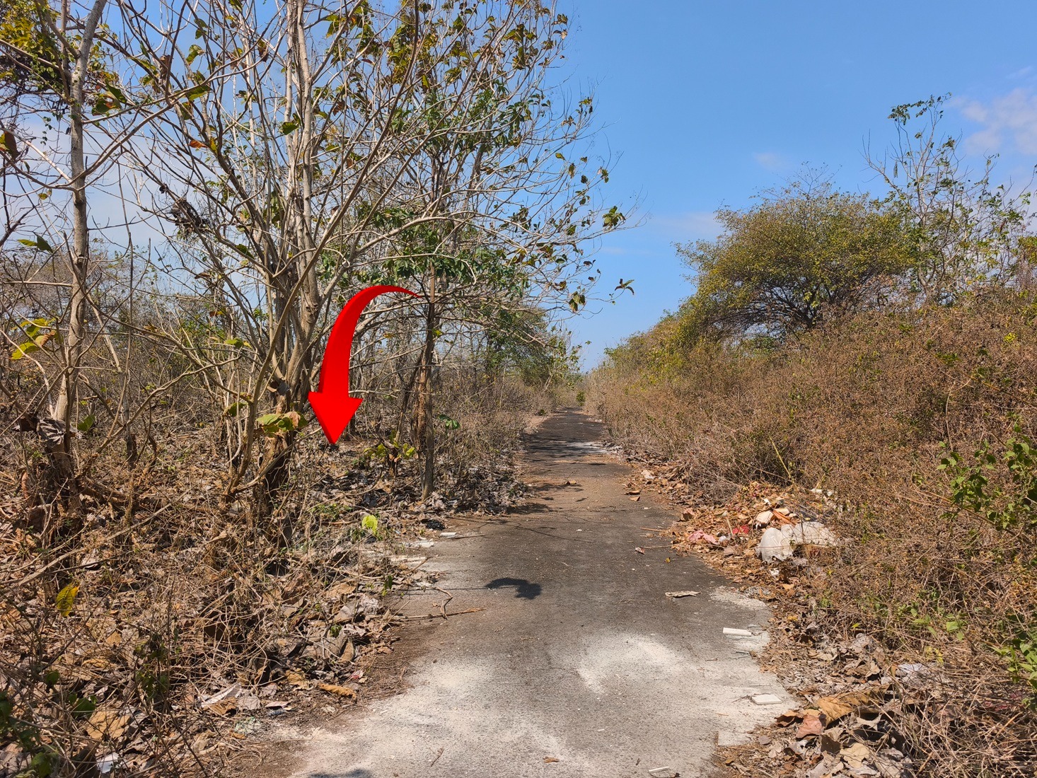 Jimbaran,Bali,Indonesia,Land,MLS ID 2771